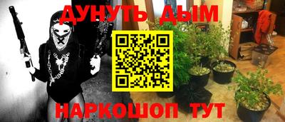 стафф Заволжье