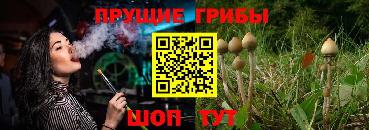Коряжма  Галлюциногенные грибы мухоморы  Галлюциногенные грибы мухоморы  Вход с VPN 
